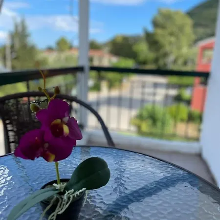 Kapselhotell Sunshine And