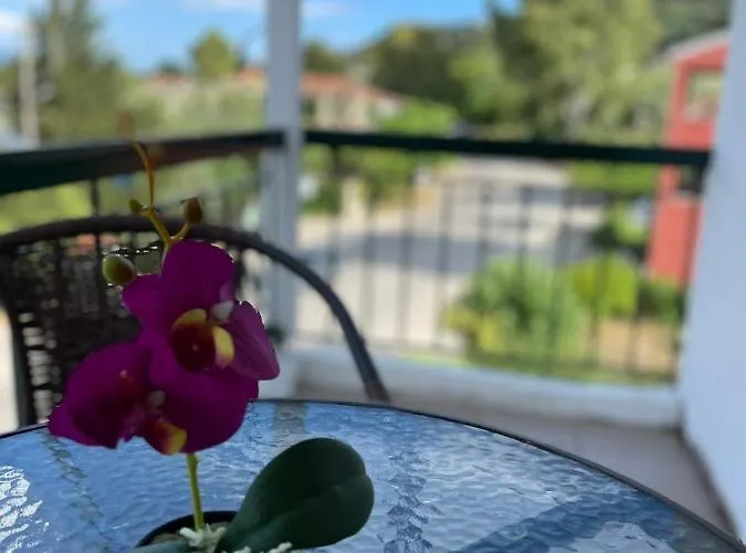 Kapselhotel Sunshine And